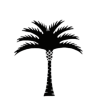 treeleather